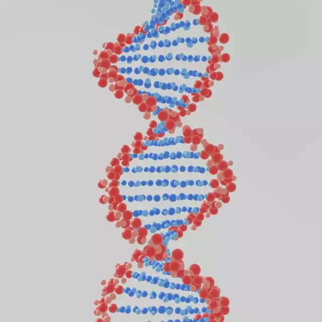 Freeze-drying turned a woolly mammoth’s DNA into 3-D ‘chromoglass’