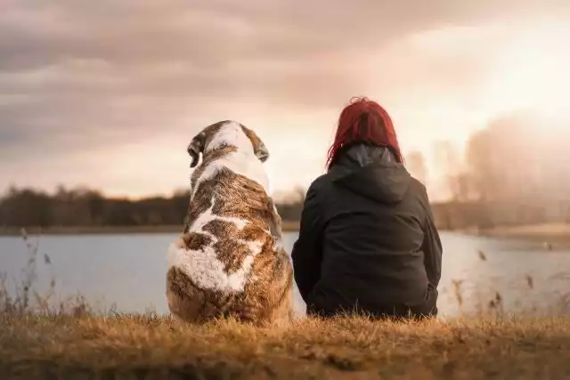 Bait Dog And Her Puppies Get A Second Chance In Life