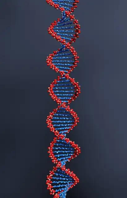 DNA from old hair helps confirm the macabre diet of two 19th century lions