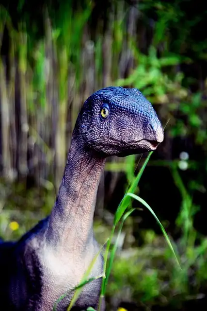 Archaeopteryx Fossil: New Insights into Early Bird Flight