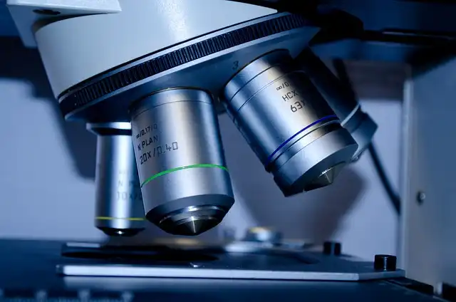 Value of Basic Research: From Sea Fireflies to Prostate Issues
