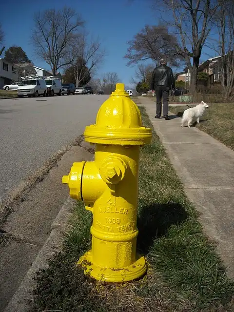 Dog Fire Safety: Training & Emergency Preparedness for Pets