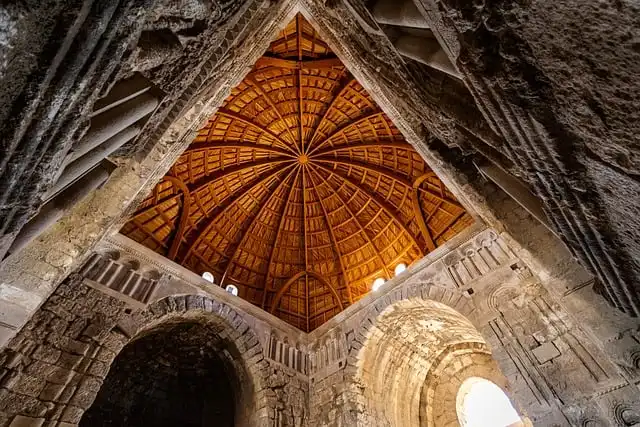 Create a Dog-Friendly Home: Safety, Comfort, and Zones for Your Pet