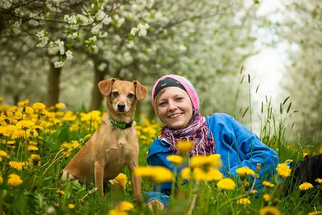 Dogs Read Human Faces, Differentiating Between Negative Emotions: A Brain Study